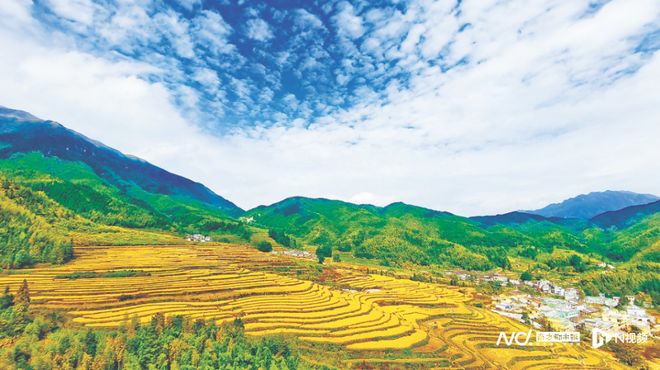 花式“晒秋”：广东“